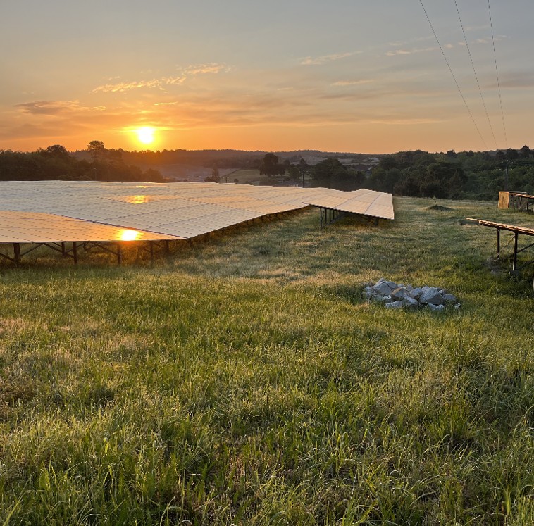 Suivis écologiques D’un Parc Photovoltaïque Au Sol – Passirac (16)