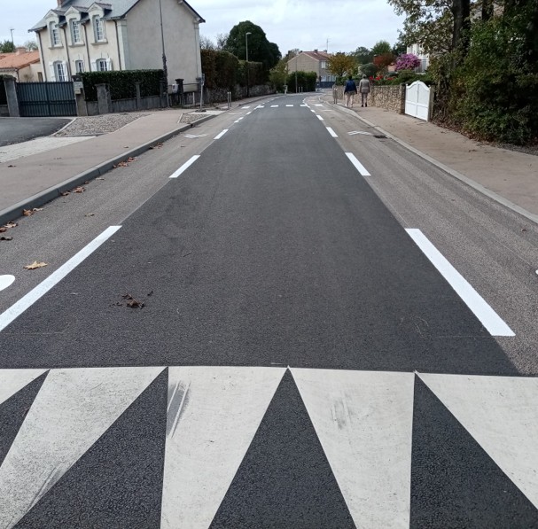 Aménagement D’entrée De Ville Rue Du Vignoble – Pont-Saint-Martin (44)