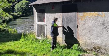 Protection De La Source D’Isale – Louvie-Soubiron (64)